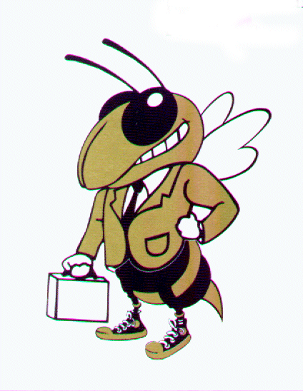 hornetcase.gif